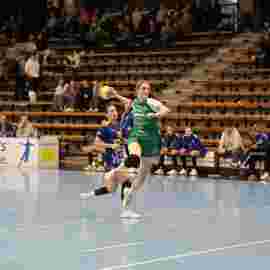 fa frauen 2 - hsg leinfelden-echterdingen 22.02.2026