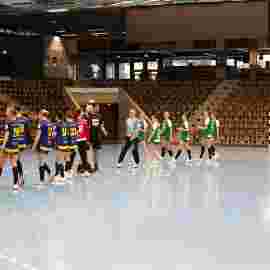 fa frauen 2 - hsg leinfelden-echterdingen 22.02.2026