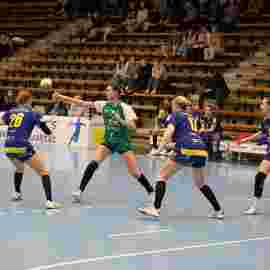 fa frauen 2 - hsg leinfelden-echterdingen 22.02.2026