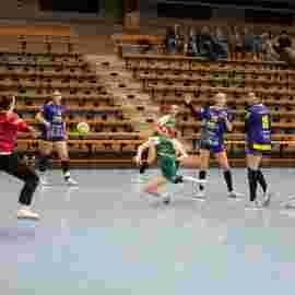 fa frauen 2 - hsg leinfelden-echterdingen 22.02.2026