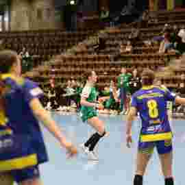 fa frauen 2 - hsg leinfelden-echterdingen 22.02.2026