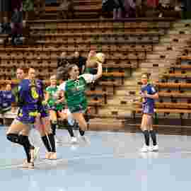 fa frauen 2 - hsg leinfelden-echterdingen 22.02.2026