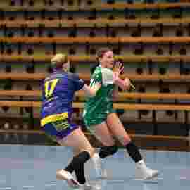 fa frauen 2 - hsg leinfelden-echterdingen 22.02.2026