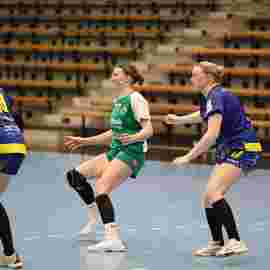 fa frauen 2 - hsg leinfelden-echterdingen 22.02.2026