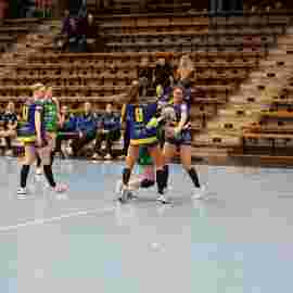 fa frauen 2 - hsg leinfelden-echterdingen 22.02.2026