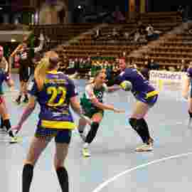 fa frauen 2 - hsg leinfelden-echterdingen 22.02.2026