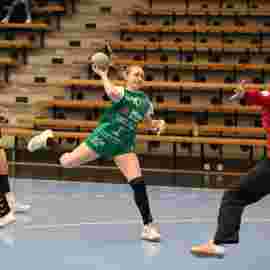 fa frauen 2 - hsg leinfelden-echterdingen 22.02.2026