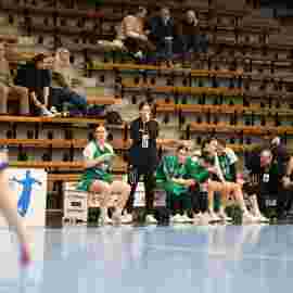 fa frauen 2 - hsg leinfelden-echterdingen 22.02.2026