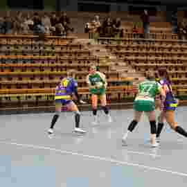 fa frauen 2 - hsg leinfelden-echterdingen 22.02.2026
