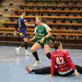 fa frauen 2 - hsg leinfelden-echterdingen 22.02.2026