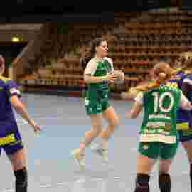 fa frauen 2 - hsg leinfelden-echterdingen 22.02.2026