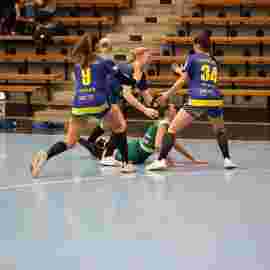 fa frauen 2 - hsg leinfelden-echterdingen 22.02.2026