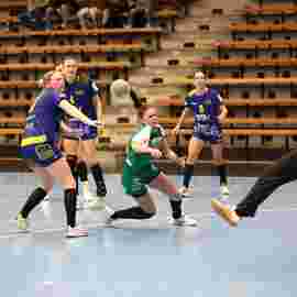 fa frauen 2 - hsg leinfelden-echterdingen 22.02.2026