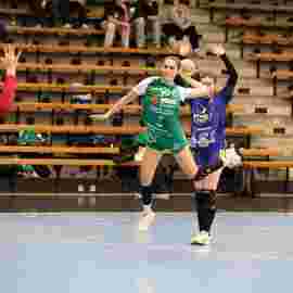 fa frauen 2 - hsg leinfelden-echterdingen 22.02.2026