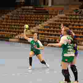fa frauen 2 - hsg leinfelden-echterdingen 22.02.2026