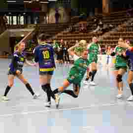 fa frauen 2 - hsg leinfelden-echterdingen 22.02.2026