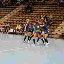 fa frauen 2 - hsg leinfelden-echterdingen 22.02.2026