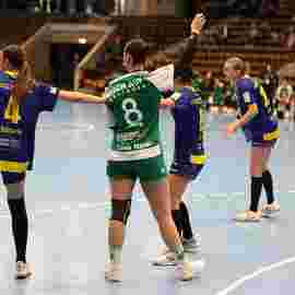 fa frauen 2 - hsg leinfelden-echterdingen 22.02.2026