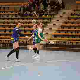 fa frauen 2 - hsg leinfelden-echterdingen 22.02.2026