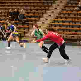 fa frauen 2 - hsg leinfelden-echterdingen 22.02.2026