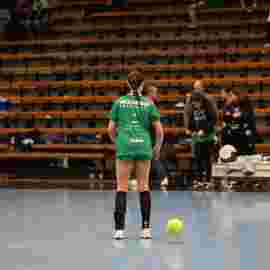 fa frauen 2 - hsg leinfelden-echterdingen 22.02.2026
