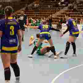 fa frauen 2 - hsg leinfelden-echterdingen 22.02.2026
