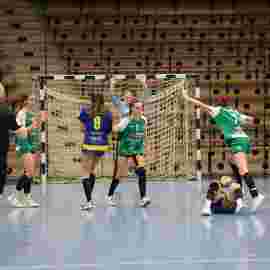 fa frauen 2 - hsg leinfelden-echterdingen 22.02.2026