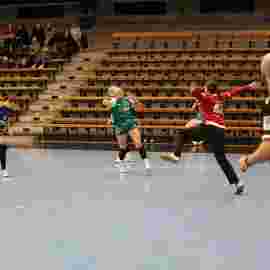 fa frauen 2 - hsg leinfelden-echterdingen 22.02.2026