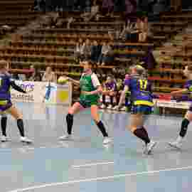 fa frauen 2 - hsg leinfelden-echterdingen 22.02.2026