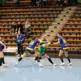 fa frauen 2 - hsg leinfelden-echterdingen 22.02.2026