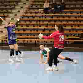 fa frauen 2 - hsg leinfelden-echterdingen 22.02.2026