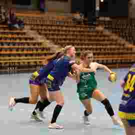fa frauen 2 - hsg leinfelden-echterdingen 22.02.2026