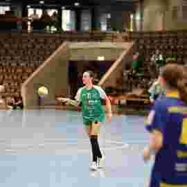 fa frauen 2 - hsg leinfelden-echterdingen 22.02.2026