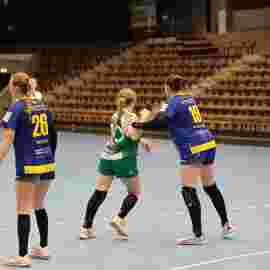 fa frauen 2 - hsg leinfelden-echterdingen 22.02.2026