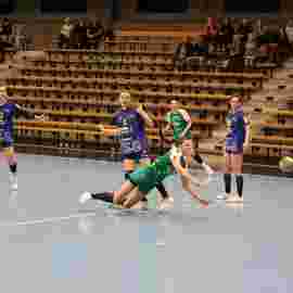 fa frauen 2 - hsg leinfelden-echterdingen 22.02.2026