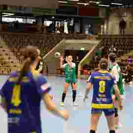 fa frauen 2 - hsg leinfelden-echterdingen 22.02.2026