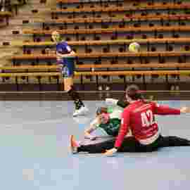 fa frauen 2 - hsg leinfelden-echterdingen 22.02.2026