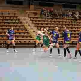 fa frauen 2 - hsg leinfelden-echterdingen 22.02.2026