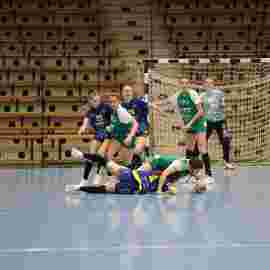 fa frauen 2 - hsg leinfelden-echterdingen 22.02.2026