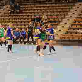 fa frauen 2 - hsg leinfelden-echterdingen 22.02.2026