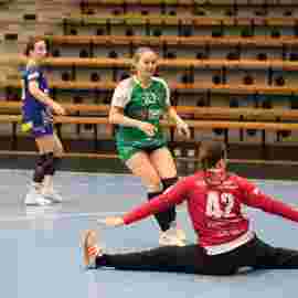 fa frauen 2 - hsg leinfelden-echterdingen 22.02.2026
