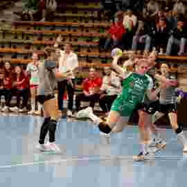 fa frauen 2 - sf schwaikheim 19.10.2025