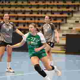 fa frauen 2 - sf schwaikheim 19.10.2025