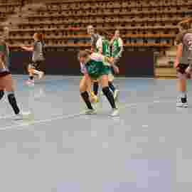 fa frauen 2 - sf schwaikheim 19.10.2025