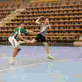 fa g&ouml;ppingen 2 - hsg 03/2020