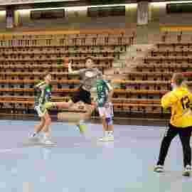 fa g&ouml;ppingen 2 - hsg 03/2020