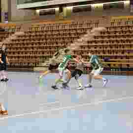 fa g&ouml;ppingen 2 - hsg 03/2020