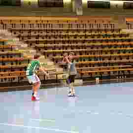 fa g&ouml;ppingen 2 - hsg 03/2020