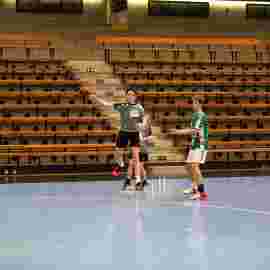 fa g&ouml;ppingen 2 - hsg 03/2020