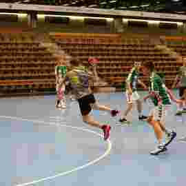 fa g&ouml;ppingen 2 - hsg 03/2020